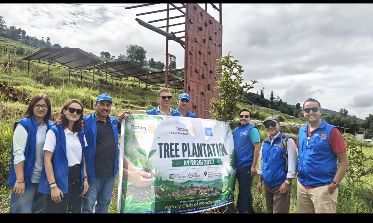 200 Tree Saplings Plantation